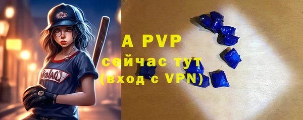 прущие крисы Бородино