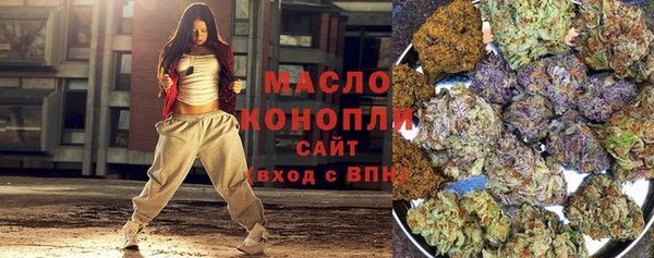 индика Верхний Тагил