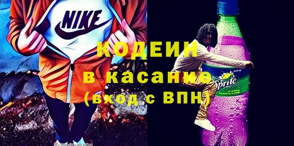 сатива Болотное