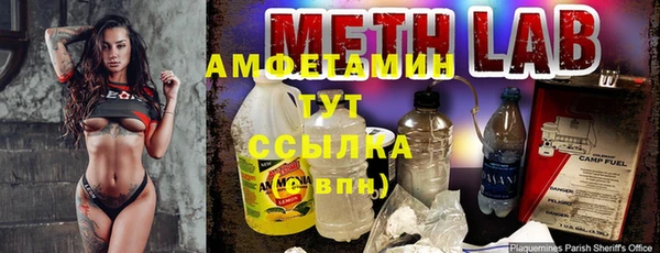 прущие крисы Бородино