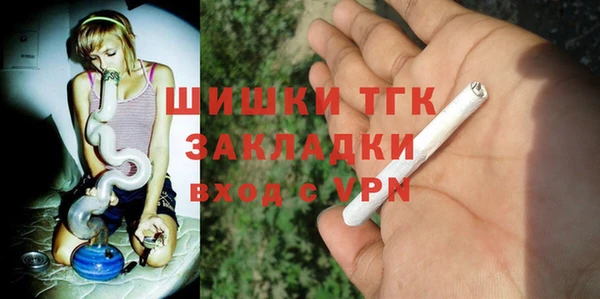 прущие крисы Бородино